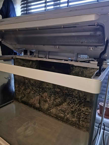 Photo of free 250l Fish Tank And stand (Swinton M27) #4