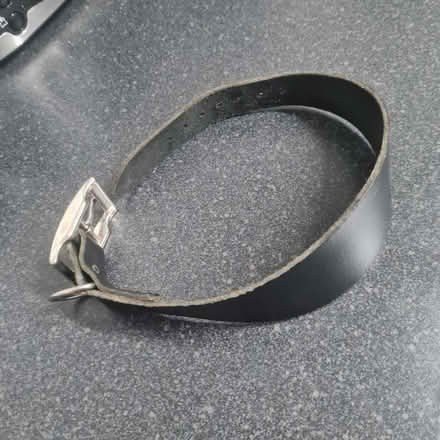 Photo of free Greyhound fishbone collar & lead (Northfield B31) #1