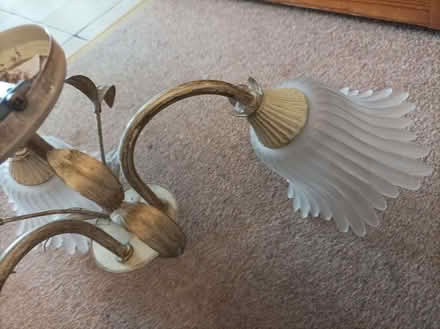 Photo of free Glass/metal flower design three lamp ceiling light (Old Woking GU22) #3