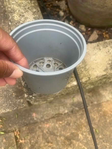 Photo of free Plant pots (Addiscombe CR0) #1