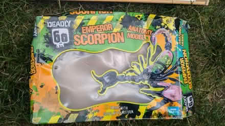 Photo of free Emperor scorpion model (King George's Park: SW18 4) #4