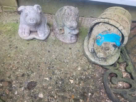 Photo of free Garden bits (Knightsfield AL8) #2