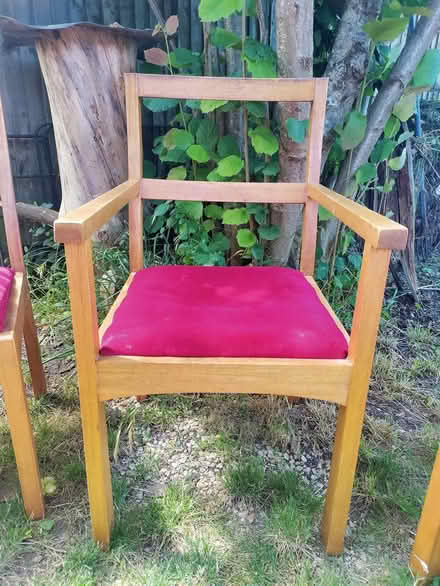 Photo of free Dining Chairs (Brightwell Baldwin OX49) #1