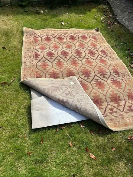 Photo of free Floor carpet with antislip mat (Montrose Ave Welling) #1