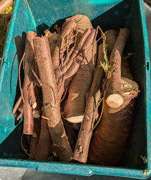 Photo of free Wood (Kennington OX1) #1
