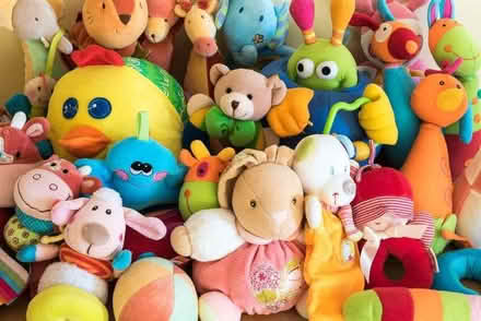 Photo of free Big Bags of soft toys (Basildon SS14) #1