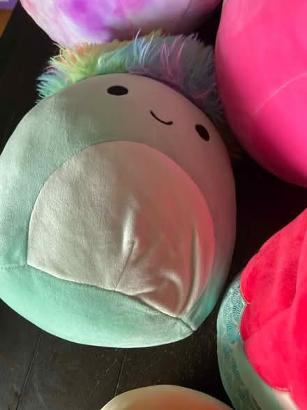 Photo of free 7 Squishmallows- mixed sizes (Lakewood) #3