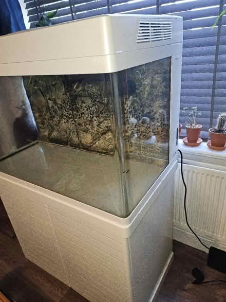 Photo of free 250l Fish Tank And stand (Swinton M27) #2