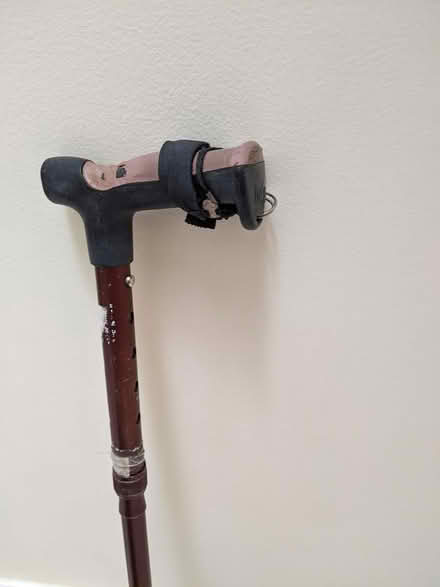 Photo of free Cane (yonge & Finch) #1