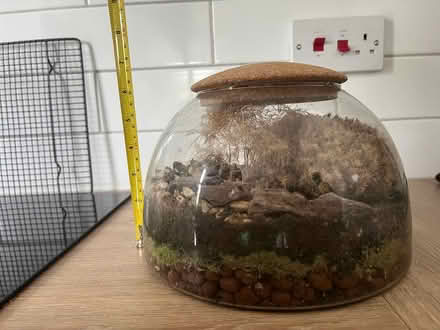 Photo of free Terrarium (St Albans AL1) #2