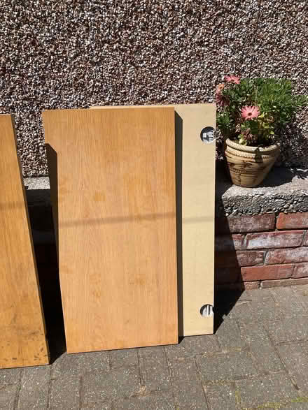 Photo of free Wood (Mansfield Woodhouse NG19) #3