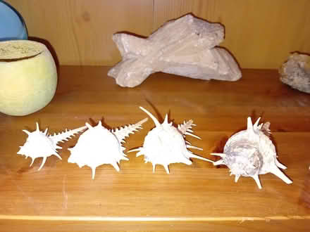 Photo of free Selection of ornaments (Eastbourne BN21) #4