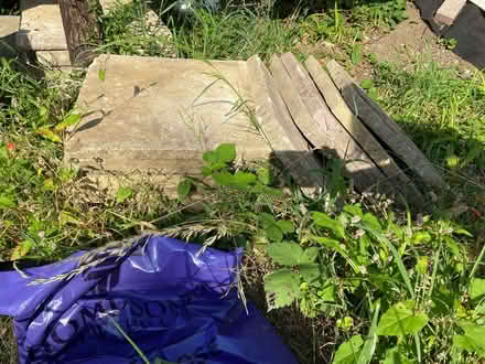 Photo of free Paving slabs (Epping CM16) #2