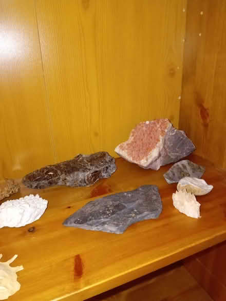 Photo of free Selection of ornaments (Eastbourne BN21) #3