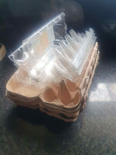 Photo of free Egg boxes (North Runcton PE33) #1