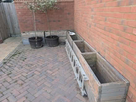 Photo of free Planters (Hellingly) #1