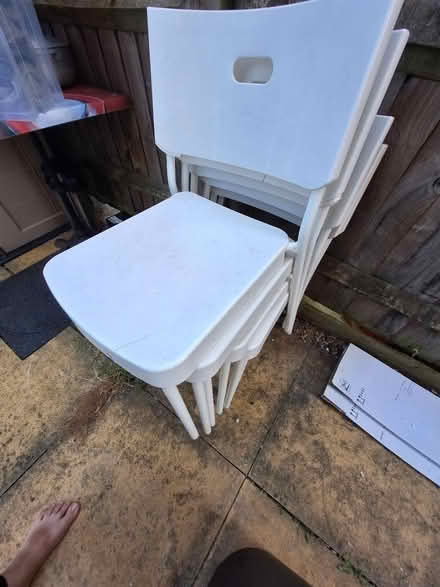 Photo of free Gardan cheers (Romford RM7 9EB) #1