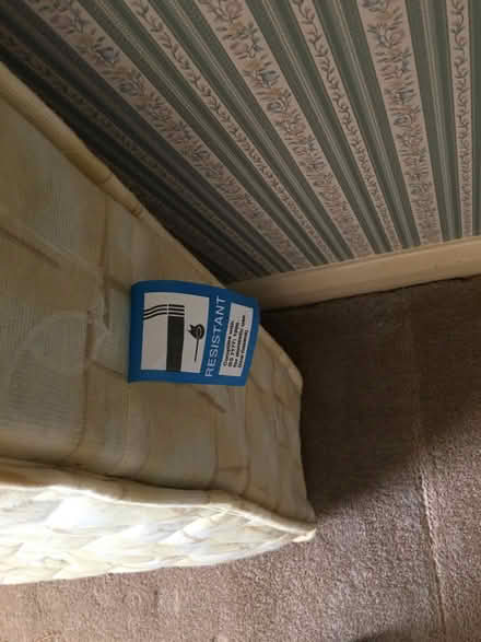 Photo of free Single bed (Bromham) #2
