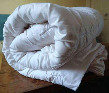 Photo of free Cot-size duvet (Bear Flat) #1