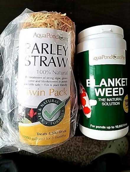 Photo of free Pond Algae Products (Bath & North East Somerset BS31) #1