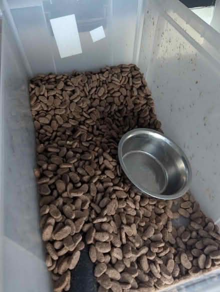 Photo of free Dr John Silver Dry Dog Food (ST6) #1