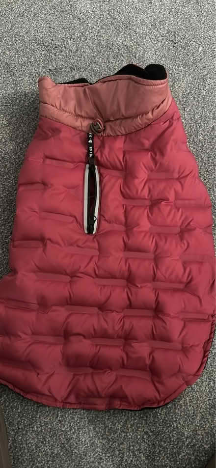 Photo of free Dog jacket (G78) #1