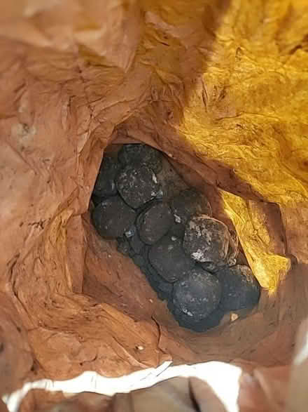 Photo of free BBQ briquettes (Florence Park OX4) #2