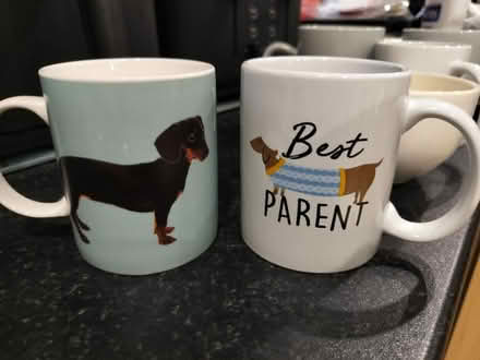 Photo of free X6 mugs (Larkfield, ME20) #2