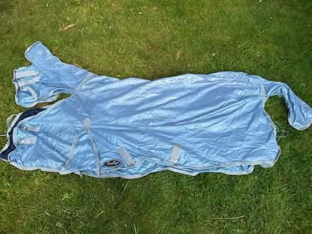 Photo of free Horse fly rug (Hambleton YO8) #1