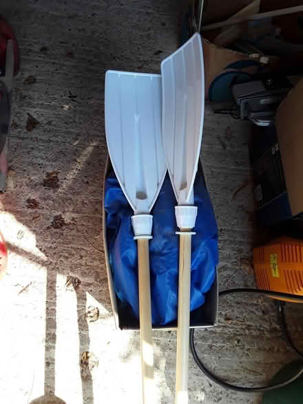 Photo of free Inflatable boat and 2 paddles (Woking GU22) #1