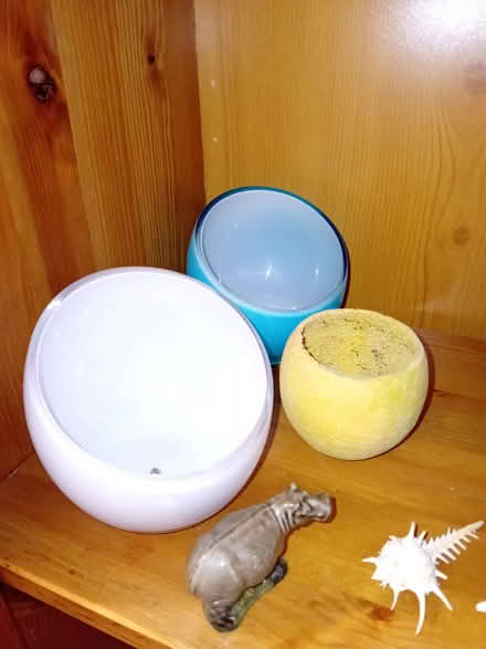 Photo of free Selection of ornaments (Eastbourne BN21) #2