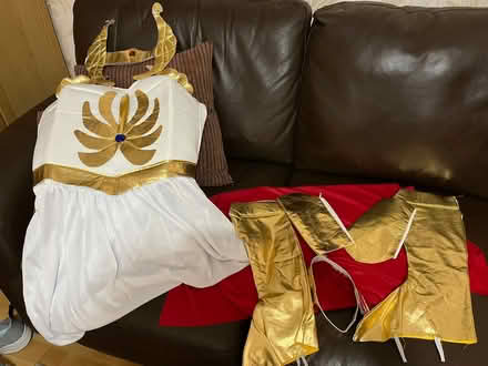 Photo of free She-Ra dressing up costume (Pennyland MK15) #1