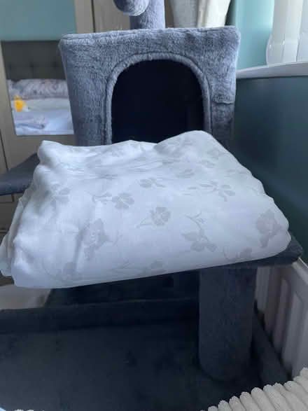 Photo of free Quilt cover and 2 pillows (Beighton S20) #1