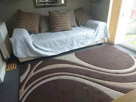 Photo of free Rug 160x230cm (BL3) #1