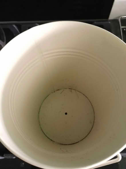 Photo of free Bucket/planter (St Austell) #2