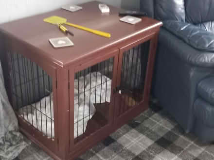 Photo of free Dog cage (Ashton-U-Lyne OL6) #1