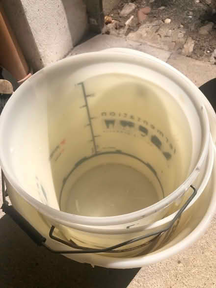 Photo of free Home brew buckets (Churston Ferrers) #2