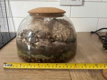 Photo of free Terrarium (St Albans AL1) #3