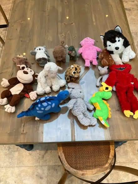 Photo of free Soft toys (Leckhampton GL53) #1