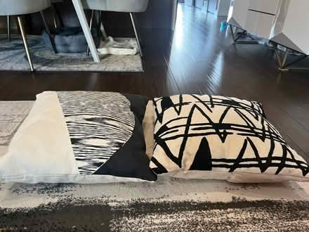 Photo of free Pillows (Park view\Petworth) #1