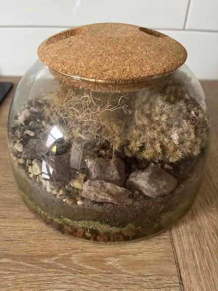 Photo of free Terrarium (St Albans AL1) #1