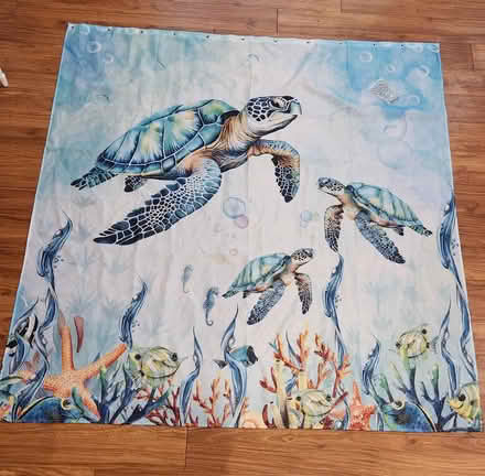 Photo of free Sea turtle shower curtain (King Farm) #1