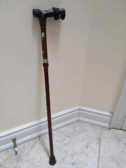 Photo of free Cane (yonge & Finch) #2