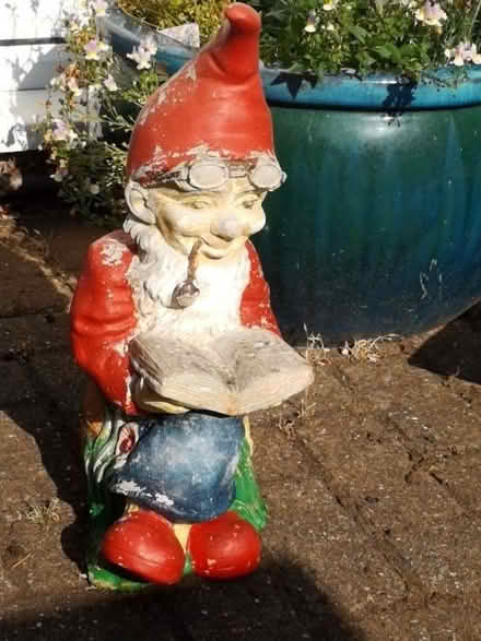 Photo of free Garden gnome (Broadwater SG2) #1