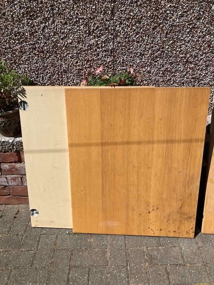 Photo of free Wood (Mansfield Woodhouse NG19) #2