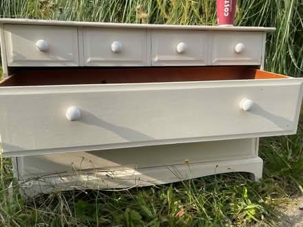 Photo of free Stag chest (Debden) #1