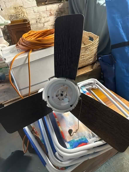 Photo of free Ceiling Fan (new) (North Downtown Charlottesville) #1