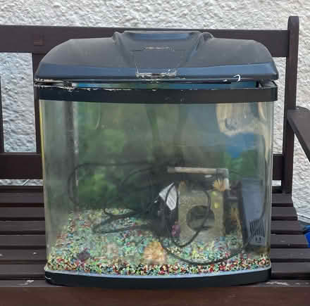 Photo of free 28 litre fish tank (Brentford TW8) #2