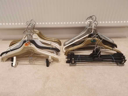 Photo of free 37 Assorted Hangers (Welwyn Garden City AL8) #1