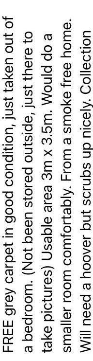 Photo of free Grey carpet (Hastings TN34) #3